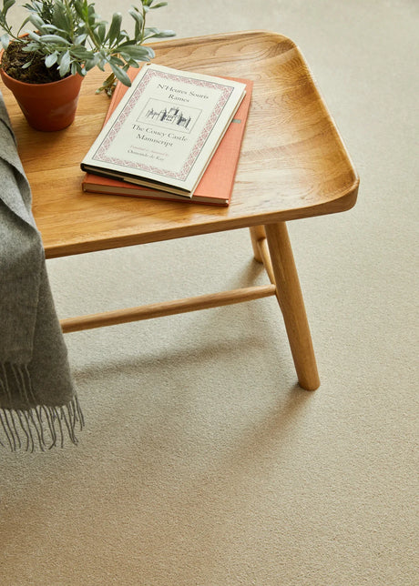 Light beige carpet with smooth texture under wooden table holding books and plant.