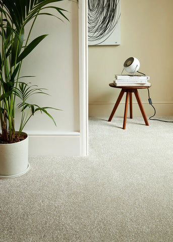 Inglewood Saxony ganache smooth carpet in living room with plant and side table