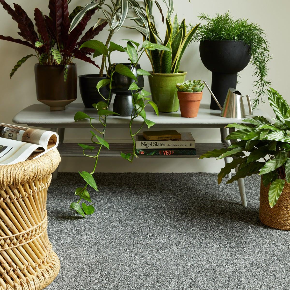 Grey carpet in living room with potted plants on a white coffee table