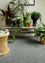 Grey carpet in living room with potted plants on a white coffee table