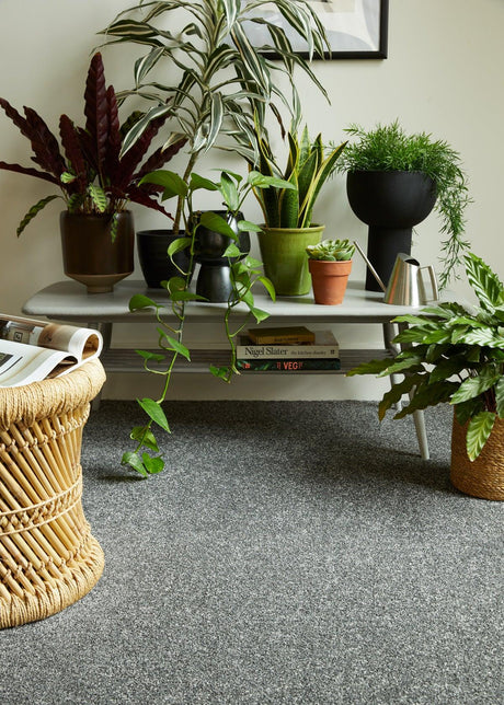 Grey carpet in living room with potted plants on a white coffee table