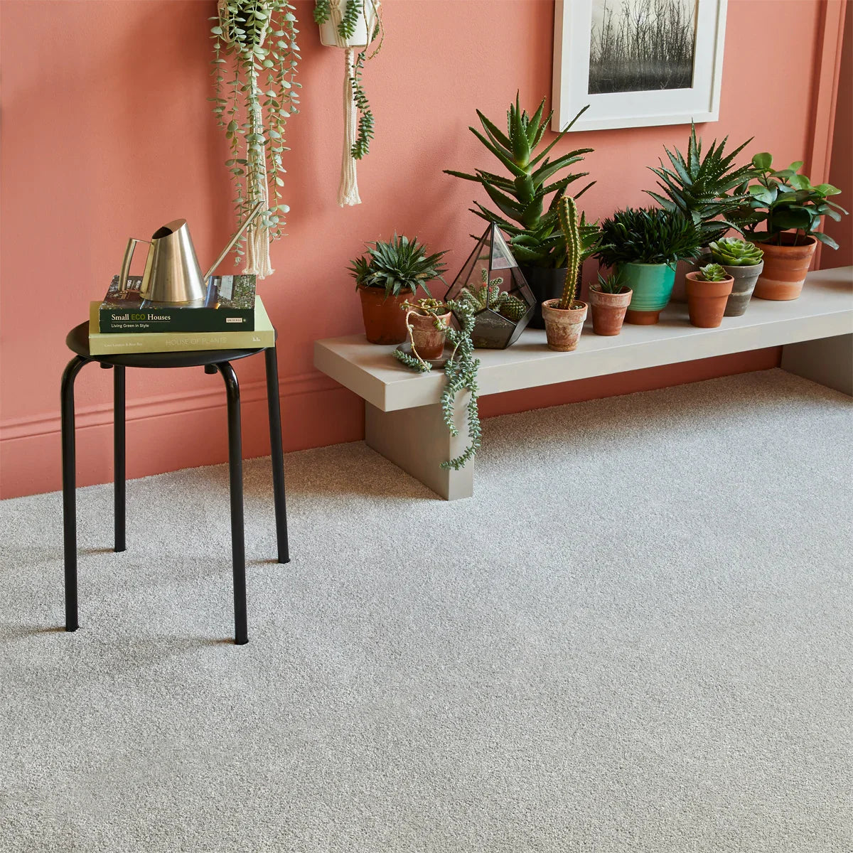 Saxony winter ice carpet in modern living room with indoor plants and coral accent wall