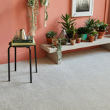 Saxony winter ice carpet in modern living room with indoor plants and coral accent wall