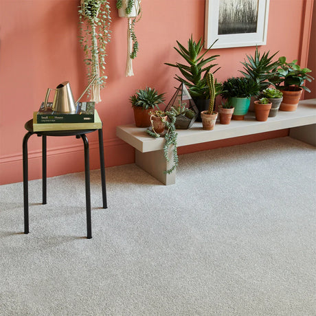 Saxony winter ice carpet in modern living room with indoor plants and coral accent wall