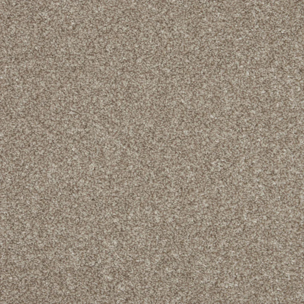 Inglewood Saxony Ganache Carpet - Ganache / 4m
