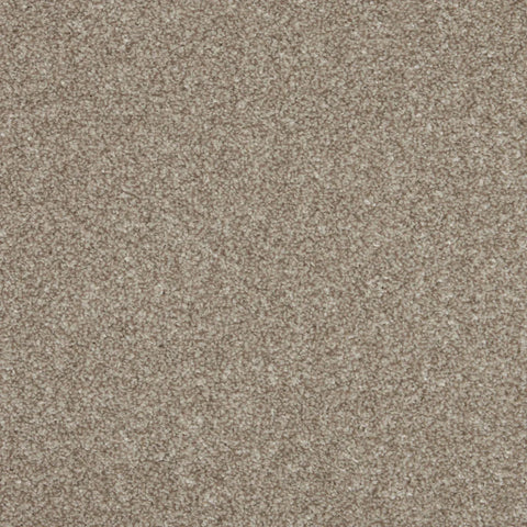 Inglewood Saxony Ganache Carpet - Ganache / 4m