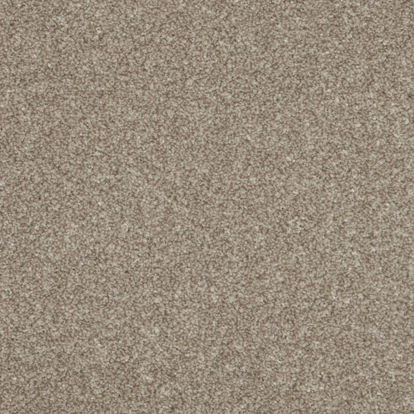 Inglewood Saxony Ganache Carpet - Ganache / 4m