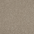 Inglewood Saxony Ganache Carpet - Ganache / 4m