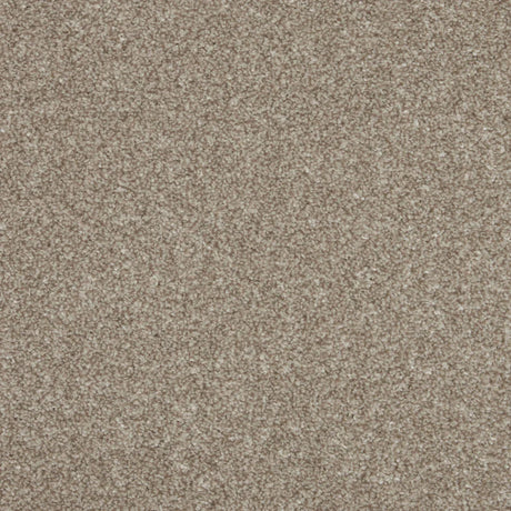 Inglewood Saxony Ganache Carpet - Ganache / 4m