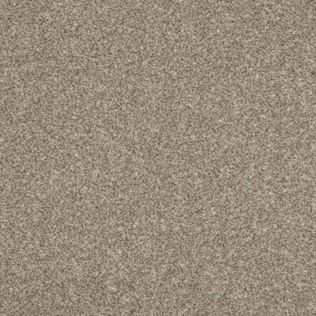 Inglewood Saxony Ganache Carpet - Ganache / 4m