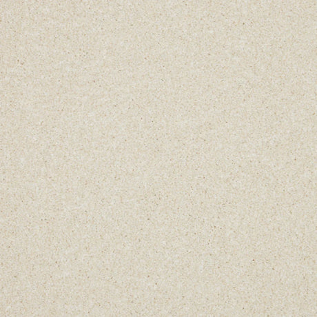 Inglewood Saxony Ivory Carpet - Ivory / 4m