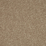 Inglewood Saxony Manor Stone Carpet - Manor Stone / 4m