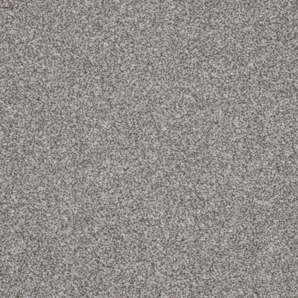 Inglewood Saxony North Star Carpet - North Star / 4m