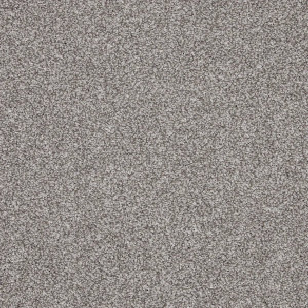 Inglewood Saxony North Star Carpet - North Star / 4m