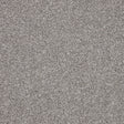 Inglewood Saxony North Star Carpet - North Star / 4m