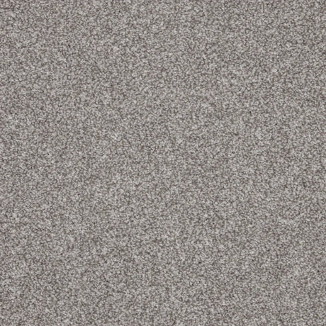 Inglewood Saxony North Star Carpet - North Star / 4m