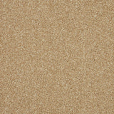 Inglewood Saxony Sandbank Carpet - Sandbank / 4m
