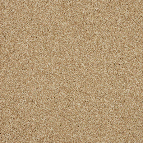 Inglewood Saxony Sandbank Carpet - Sandbank / 4m