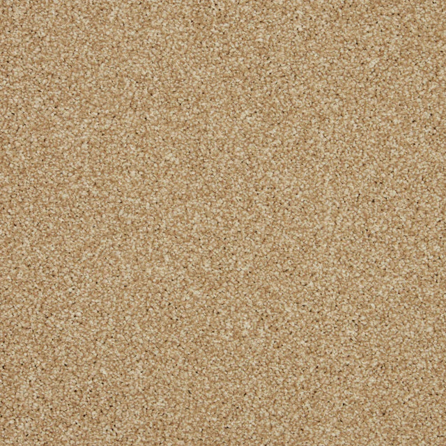Inglewood Saxony Sandbank Carpet - Sandbank / 4m
