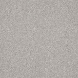 Inglewood Saxony Winter Ice Carpet - Winter Ice / 4m