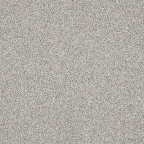 Inglewood Saxony Winter Ice Carpet - Winter Ice / 4m