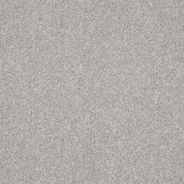 Inglewood Saxony Winter Ice Carpet - Winter Ice / 4m