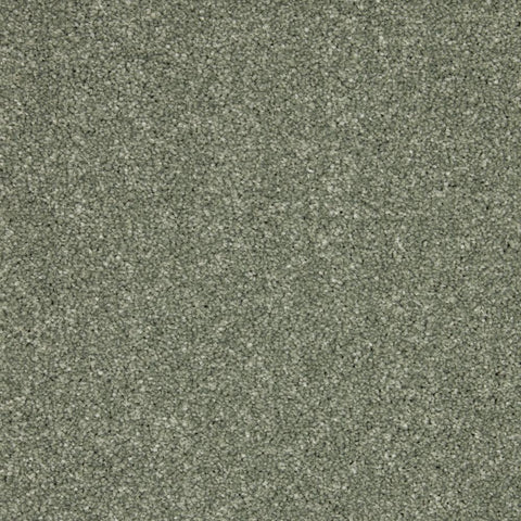 Inglewood Saxony Willow Carpet - Willow / 4m