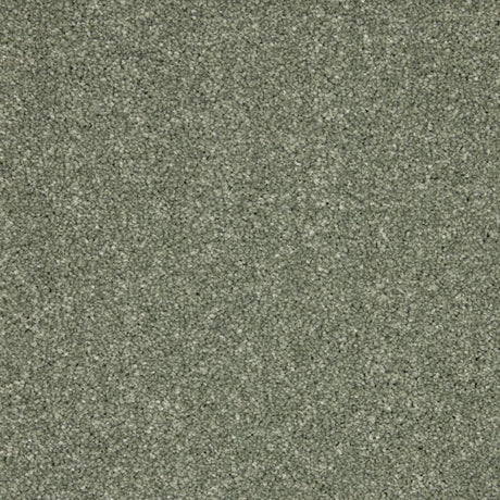 Inglewood Saxony Willow Carpet - Willow / 4m