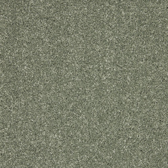 Inglewood Saxony Willow Carpet - Willow / 4m