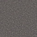 Kingston Battleship Grey Carpet - Battleship Grey / 4m
