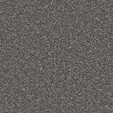 Kingston Battleship Grey Carpet - Battleship Grey / 4m