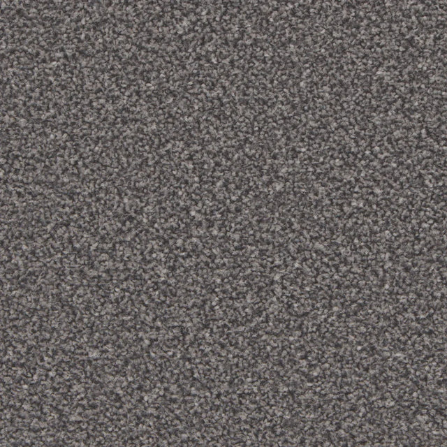 Kingston Battleship Grey Carpet - Battleship Grey / 4m