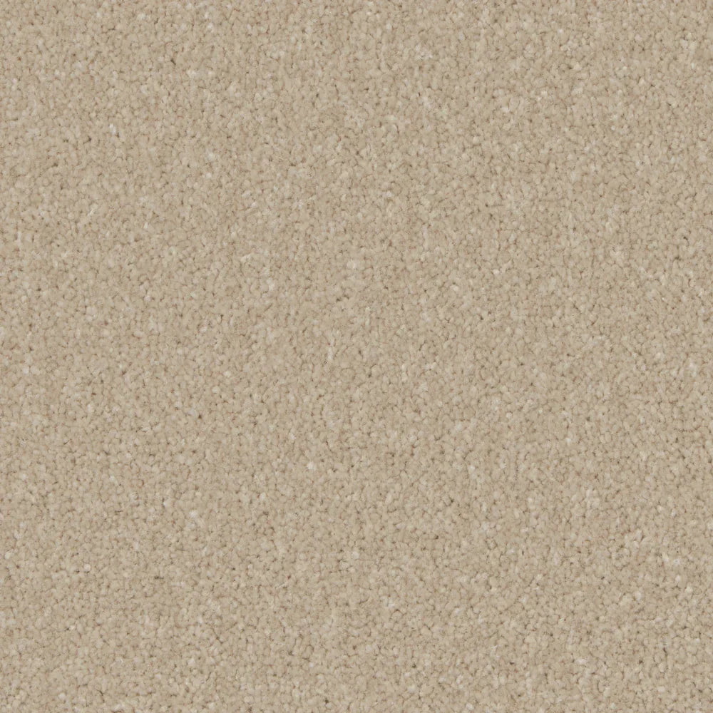 Kingston Bay Light Carpet - Bay Light / 4m