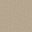 Kingston Bay Light Carpet - Bay Light / 4m