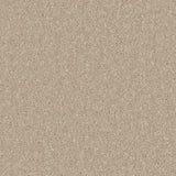 Kingston Bay Light Carpet - Bay Light / 4m