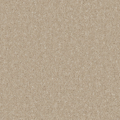 Kingston Bay Light Carpet - Bay Light / 4m