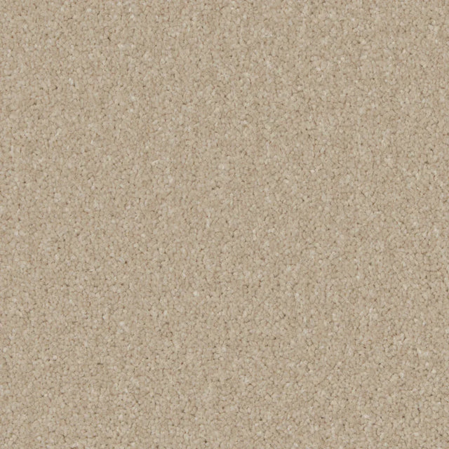 Kingston Bay Light Carpet - Bay Light / 4m