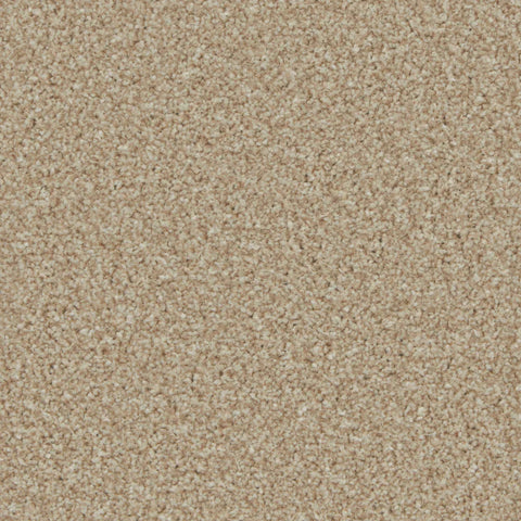 Kingston Caracal Carpet - Caracal / 4m