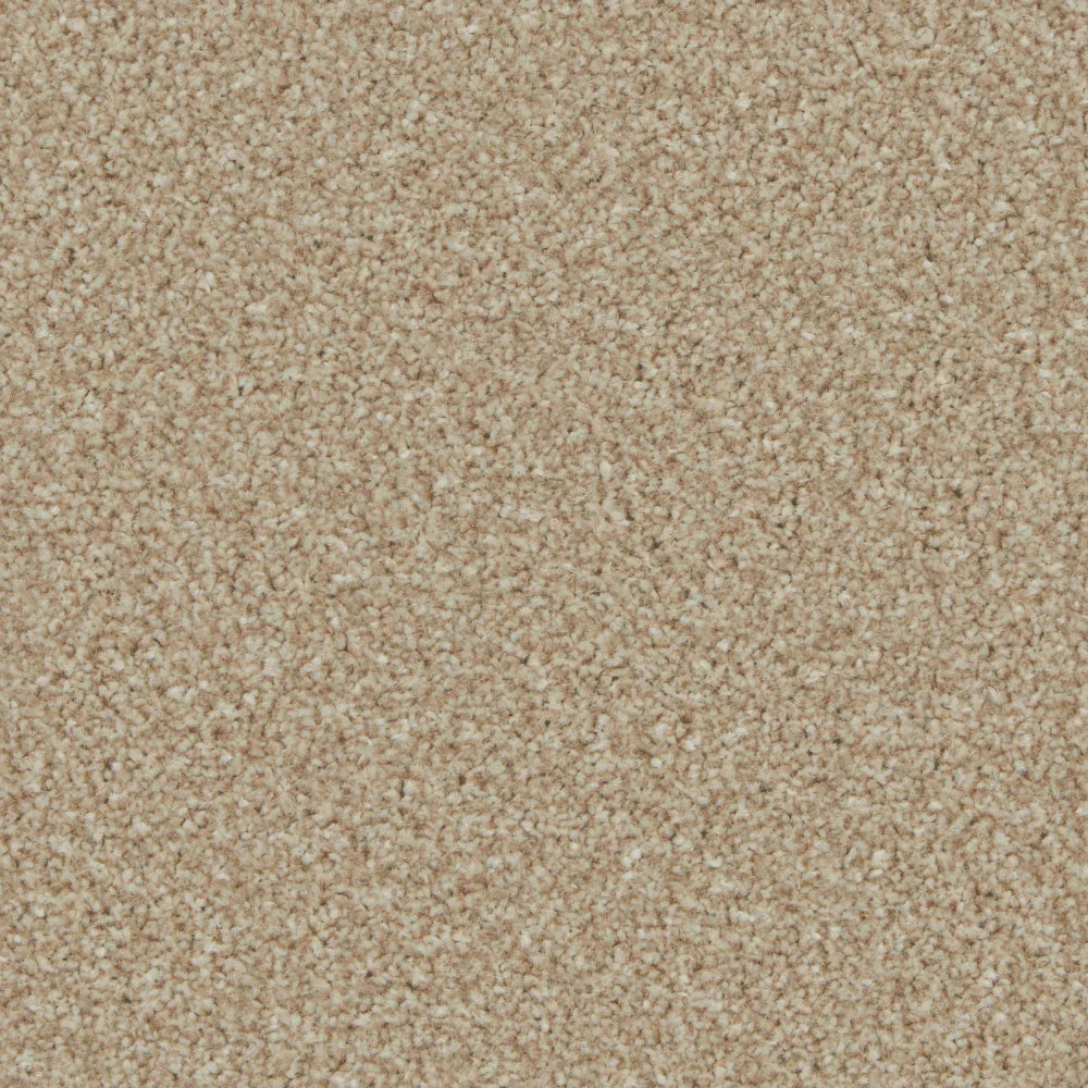 Kingston Caracal Carpet - Caracal / 4m