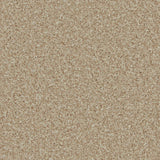 Kingston Caracal Carpet - Caracal / 4m