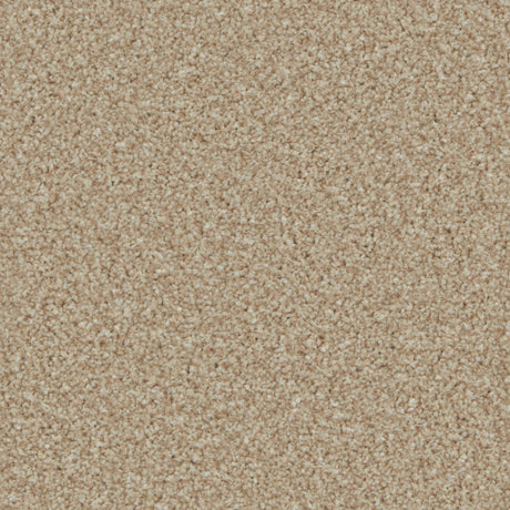 Kingston Caracal Carpet - Caracal / 4m