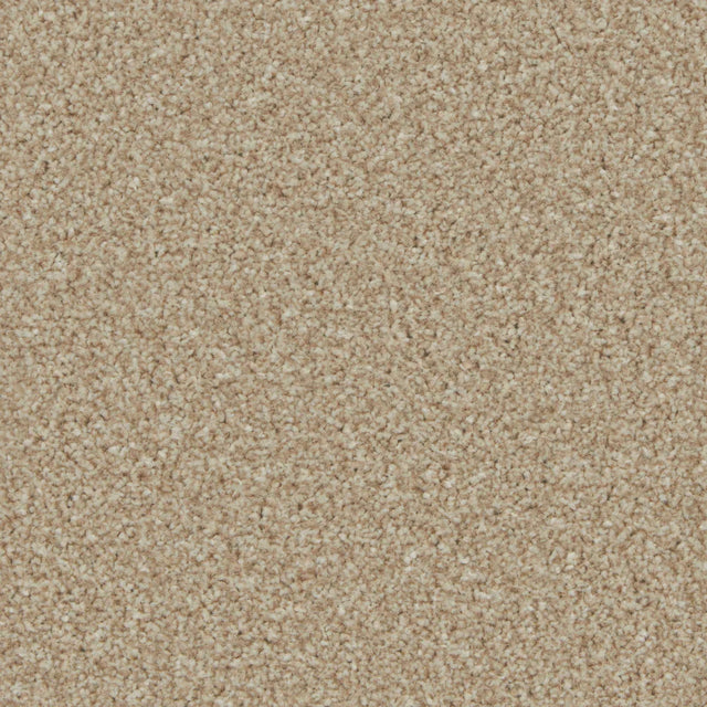 Kingston Caracal Carpet - Caracal / 4m