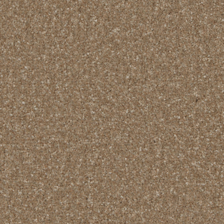 Kingston Cedar Carpet - Cedar / 4m