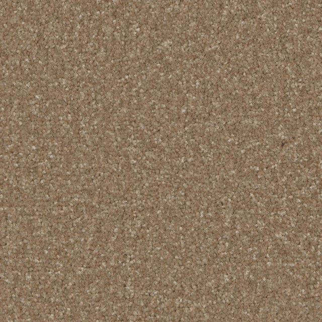 Kingston Cedar Carpet - Cedar / 4m