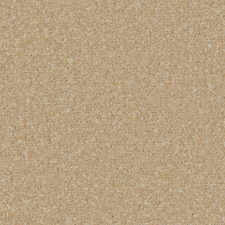 Kingston Hayseed Carpet - Hayseed / 4m