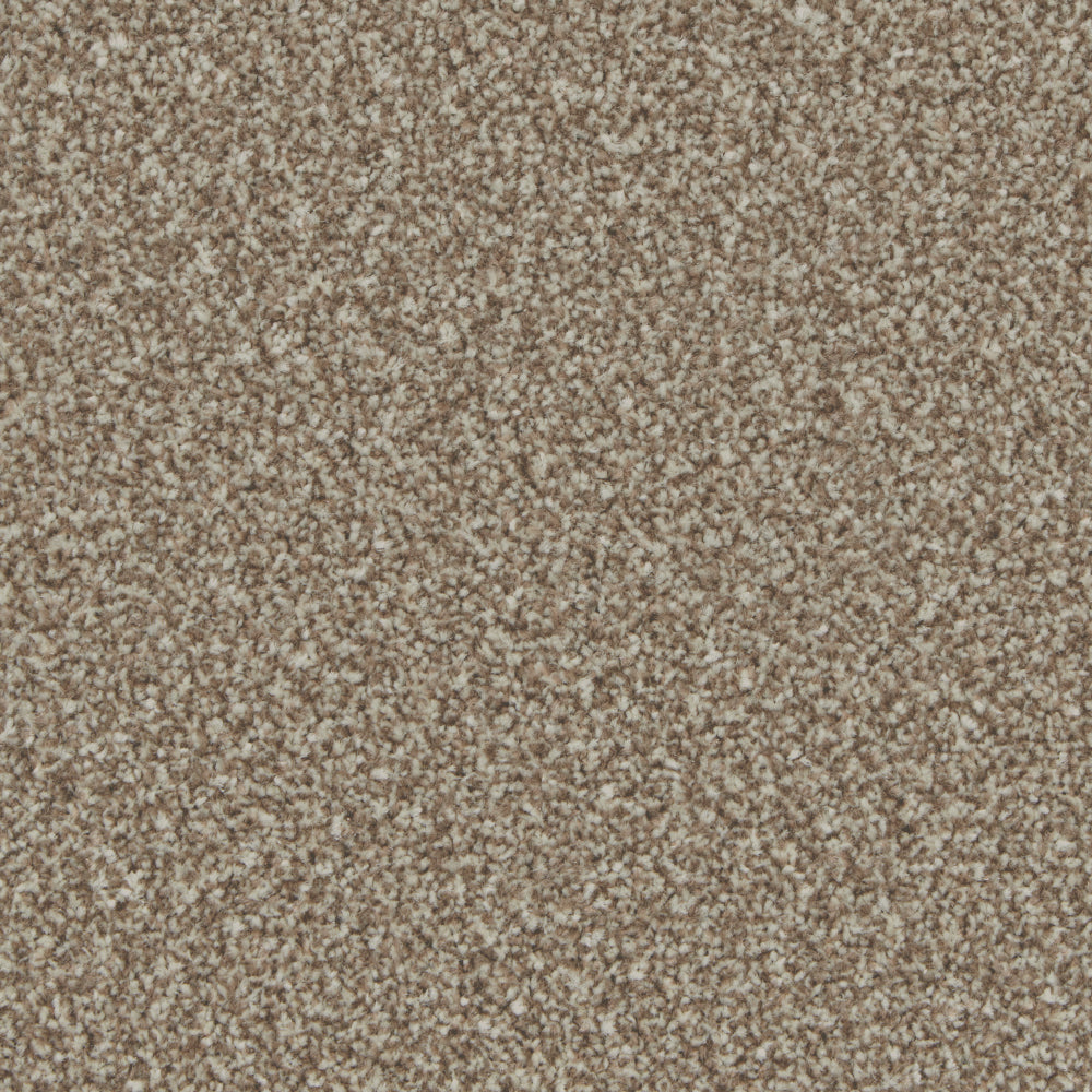 Kingston Kernel Carpet - Kernel / 4m