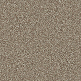 Kingston Kernel Carpet - Kernel / 4m