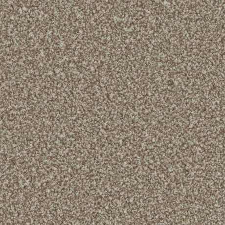 Kingston Kernel Carpet - Kernel / 4m