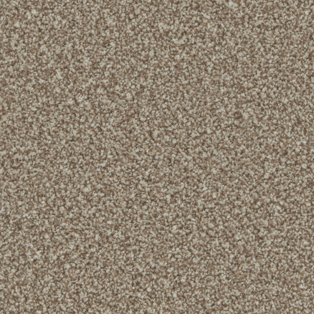 Kingston Kernel Carpet - Kernel / 4m