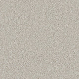 Kingston Light Cloud Carpet - Light Cloud / 4m